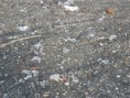 /album/fotogaleria/p4200303-jpg/