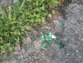 /album/fotogaleria/p4200308-jpg/