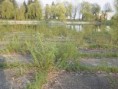 /album/fotogaleria/p4200310-jpg/