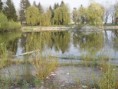 /album/fotogaleria/p4200311-jpg/