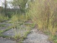 /album/fotogaleria/p4200312-jpg/