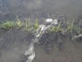 /album/fotogaleria/p4200314-jpg/