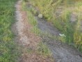 /album/fotogaleria/p4200327-jpg/