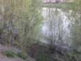 /album/fotogaleria/p4200338-jpg/