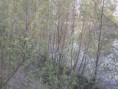 /album/fotogaleria/p4200342-jpg/