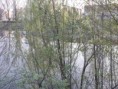 /album/fotogaleria/p4200349-jpg/