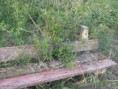 /album/fotogaleria/p4200351-jpg/