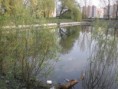 /album/fotogaleria/p4200354-jpg/