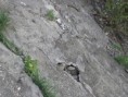 /album/fotogaleria/p4200356-jpg/