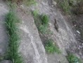 /album/fotogaleria/p4200357-jpg/