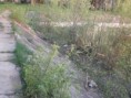 /album/fotogaleria/p4200358-jpg/