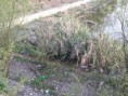 /album/fotogaleria/p4200362-jpg/