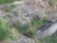 /album/fotogaleria/p4200364-jpg/