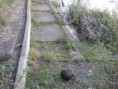/album/fotogaleria/p4200366-jpg/