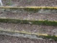 /album/fotogaleria/p4200383-jpg/