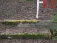 /album/fotogaleria/p4200384-jpg/