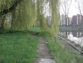 /album/fotogaleria/p4200391-jpg/
