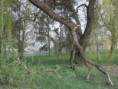 /album/fotogaleria/p4200393-jpg/