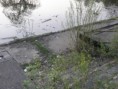 /album/fotogaleria/p4200397-jpg/